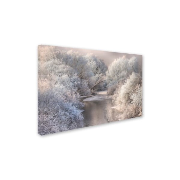 Sebestyen Bela 'Winter Song' Canvas Art,30x47